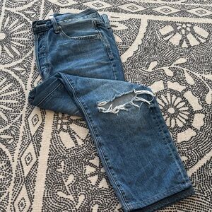 Pistola Blue Distressed Straight Leg Jeans
